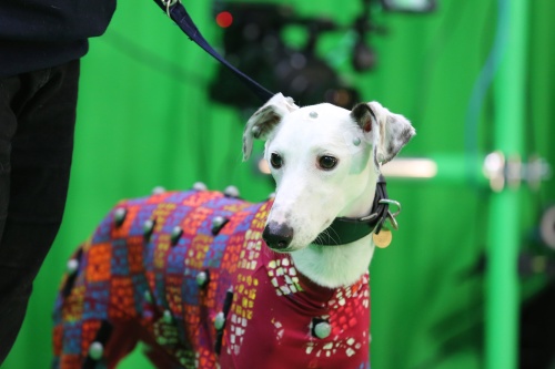 CAMERA Research