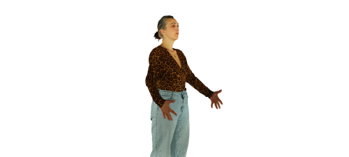 CAMERA Are you interested in being a participant in a Digital Human Research project?